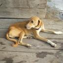 Jon Colburn - @jonathancolburn - Twitter