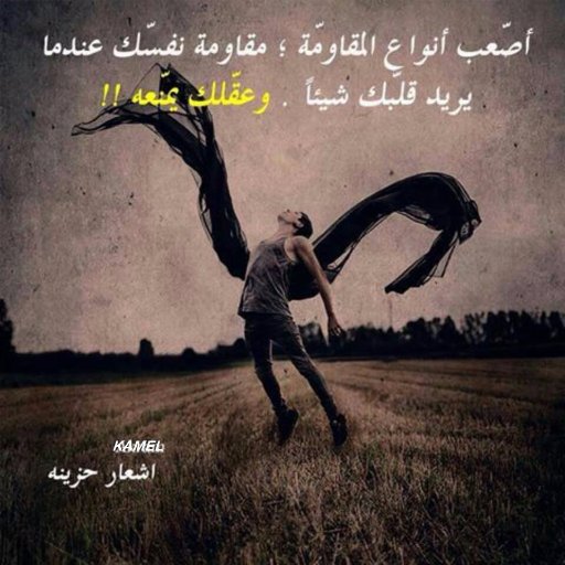 kamelbazita2's profile picture. 