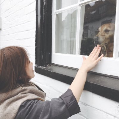 marikaishii's profile picture. じゃなくて石井です。