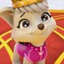 Sweetie (@sweetiethepup) Twitter profile photo Sweetie (@sweetiethepup) Twitter profile photo
