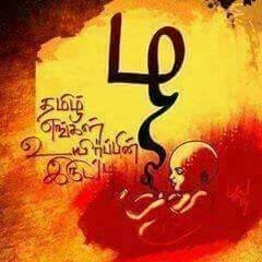 ArtofTamilnadu's profile picture. 