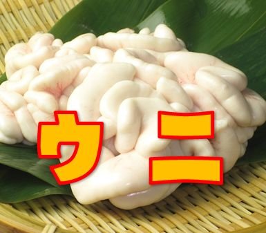 TLに流れてきたヒヒ報告はとりあえず良いねします(私にも落ちろ)
うざかったらミュートかブロックしてね
クソ人見知り過ぎて、返信できないことあるので勘弁してね