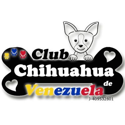 Somos el Club Chihuahua de Venezuela.!!! Únete a esta gran Familia. Director y Fundador @edeciofaria