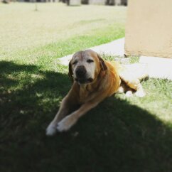 ProjectFantasy6's profile picture. Nothing to say