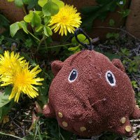 理科部生物班@南山男子部 (@nanzan_seibutu) Twitter profile photo