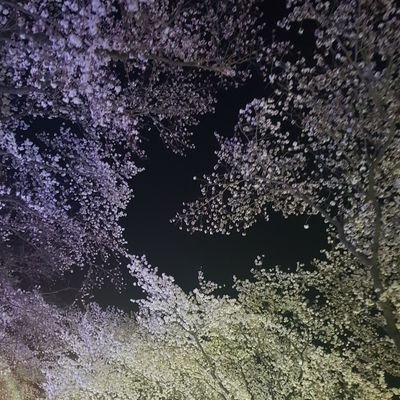 ChoiMO0302's profile picture. 