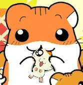 しげっち Sigehamu Twitter しげっち Sigehamu Twitter