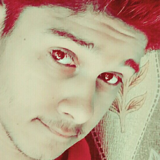 LalitSiraswa's profile picture. 