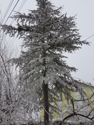 MehmetMhmt46's profile picture. 