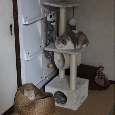 voHHnScWEbmNa3v's profile picture. 