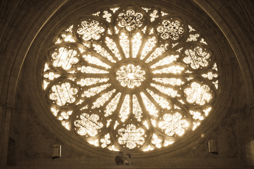 white_am's profile picture. PR for @northropgrumman, tweets/opinions are my own. Love SoCal but still holding on to (917). Sci fi geek, USMC Spouse. Also, sailing & cooking.