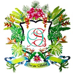 Votre blog mariage à l'île Maurice, pour se dire