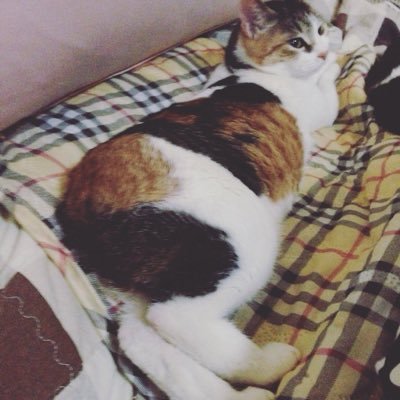 ciga1976's profile picture. 