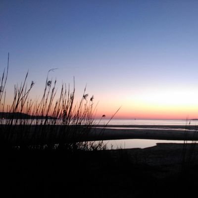 laletra15's profile picture. 