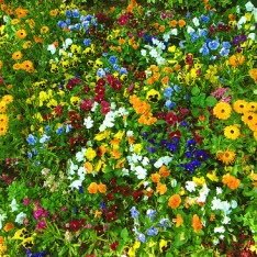 gmgwjdpmgm's profile picture. 