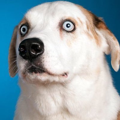 DumbDayThoughts's profile picture. Dumb Thoughts That Run Through My Head