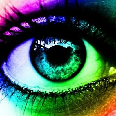 mitbonenet's profile picture. ‏‏זה שיש פה מין לא אומר שאתם צריכים להיות קריפים