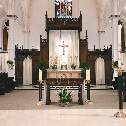 StBasil_TO's profile picture. Teach me Goodness, Discipline and Knowledge.