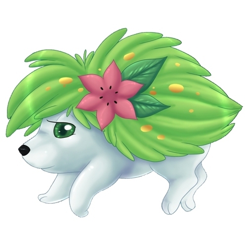 Solstice_'s profile picture. Hello, I am Solstice.