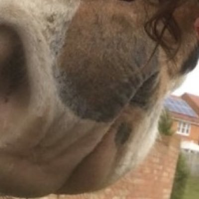 CohanAidan's profile picture. HighNotes//NewSong//April//20th//FormerMemberOffPlusimesLabel//MakingANewAlbum//Stones////.