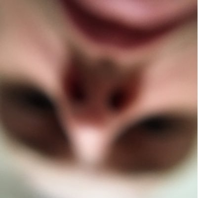 rook_tx's profile picture. Front-end UI developer. Founded @rook_HQ.