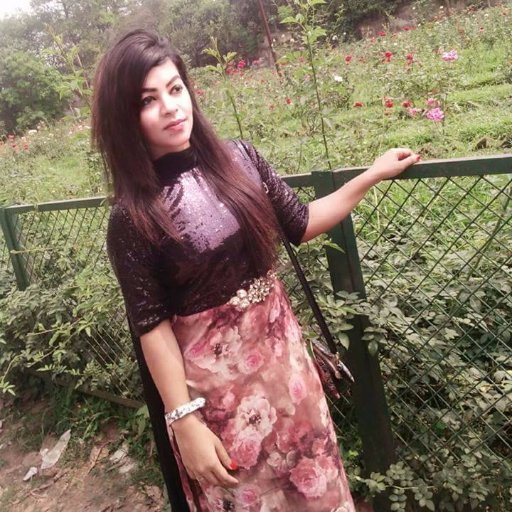 Hi there, i'm alisha, pretty fresh n smiled personality. Have skills on WordPress theme customization, demo installation, Speed Optimization, hosting transfer