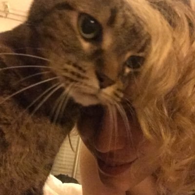 ClaireR1108's profile picture. 