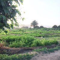 abobadr (@bandarrr51) Twitter profile photo