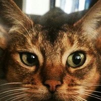 Bibana Anirbas (@bibana_anirbas) 's Twitter Profile