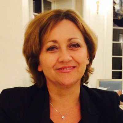 Députée de la Marne de 2017 à 2022 Conseillère municipale de Reims Présidente de la Fédération Les Republicains Marne