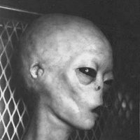 Tarkamt (@tmakrat) 's Twitter Profile