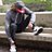 Wabpyjbp's profile image