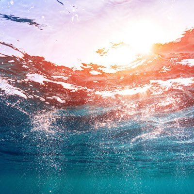 njhxxlr's profile picture. 