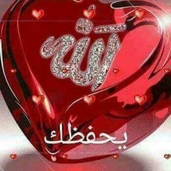 ‏‏‏‏الاخبار