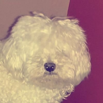 culturaenbahia's profile picture. 