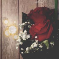 اناقة انثى (@tep_ea) Twitter profile photo