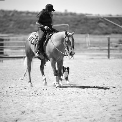 TatumSik's profile picture. Washed up motorbike rider turned 4 wheel utv racer. Gotta few cow ponies 🐎 👉🏻 @cuttingsranch