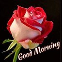 Priya Ranjan (@575af5348916457) Twitter