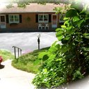 Deborah Canfield - @DeborahCanfield - Twitter