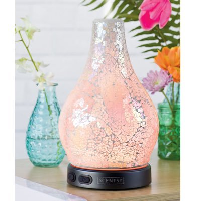 Independent Scentsy Consultant. Visit my page at https://t.co/vfYu9Iggrb