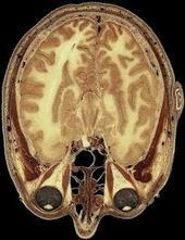 alec_tron's profile picture. 