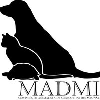 MADMI Mov Animalista(@MADH_MSV) 's Twitter Profile Photo