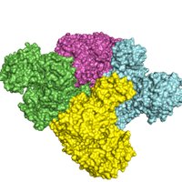 Enzymatic Eng Lab (@protengin) 's Twitter Profile