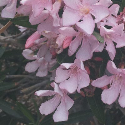 IsDaftCute's profile picture. hunter 💞💕