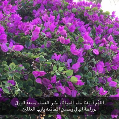 Awatf39522413's profile picture. 