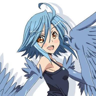 パピ（ハーピィ）さんのプロフィール画像