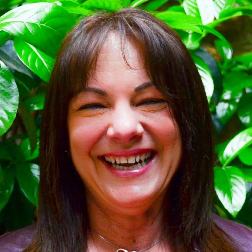 397_5517's profile picture. 