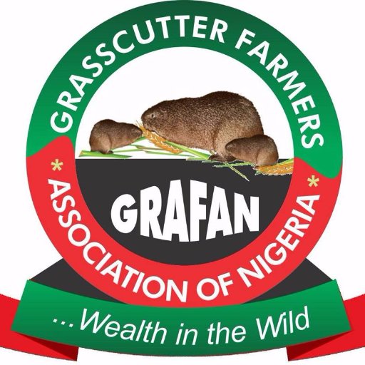 GrafanNigeria's profile picture. This is the Official Twitter handle of Grasscutter Farmers Association of Nigeria (GRAFAN) . We teach and help you breed, handle and sell Grasscutters.