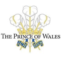 The Prince, Moseley (@prince_moseley) 's Twitter Profile