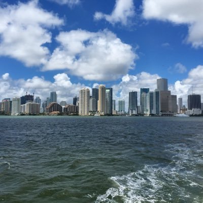 AnaACedMaz's profile picture. 